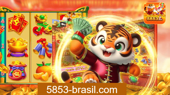 5853 Rio de Janeiro - Bonus Terms